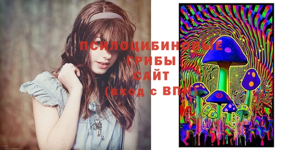 apvp Абдулино
