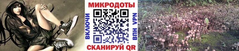 Галлюциногенные грибы MAGIC MUSHROOMS  гидра рабочий сайт  Дятьково  где найти  