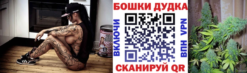 Конопля сатива купить сайты Дятьково